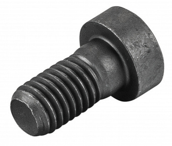 Винт цилиндрический